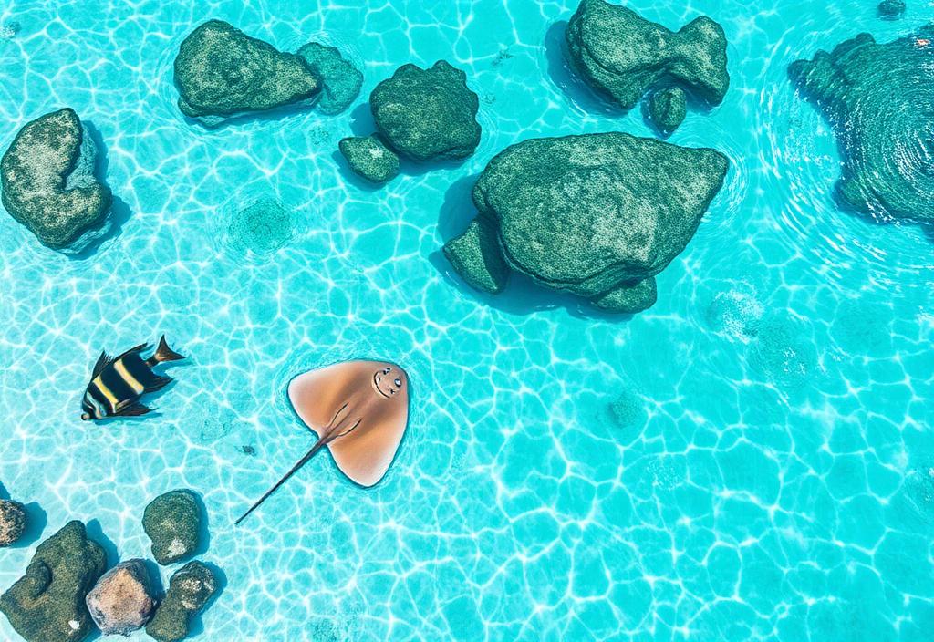 Maldives lagoon